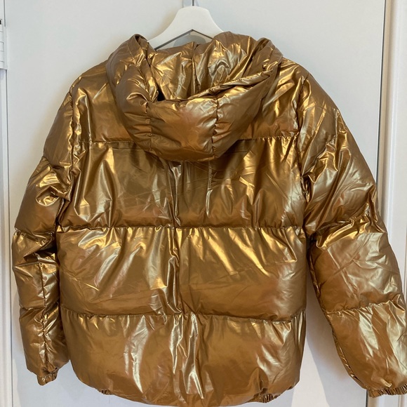 Jacket - Picture 4 of 5